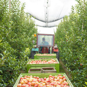WIIT trasformazione digitale per le Industrie Food & Beverage
