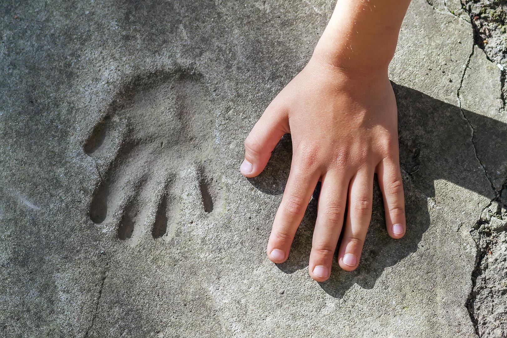 The “WIIT Digital Platform” streamlines document signing processes within organizations’ critical processes. Through WIIT SaaS Digital Signing solutions, it is possible to streamline procedures by enabling native digital document management that ensures compliance with process regulations and policies.