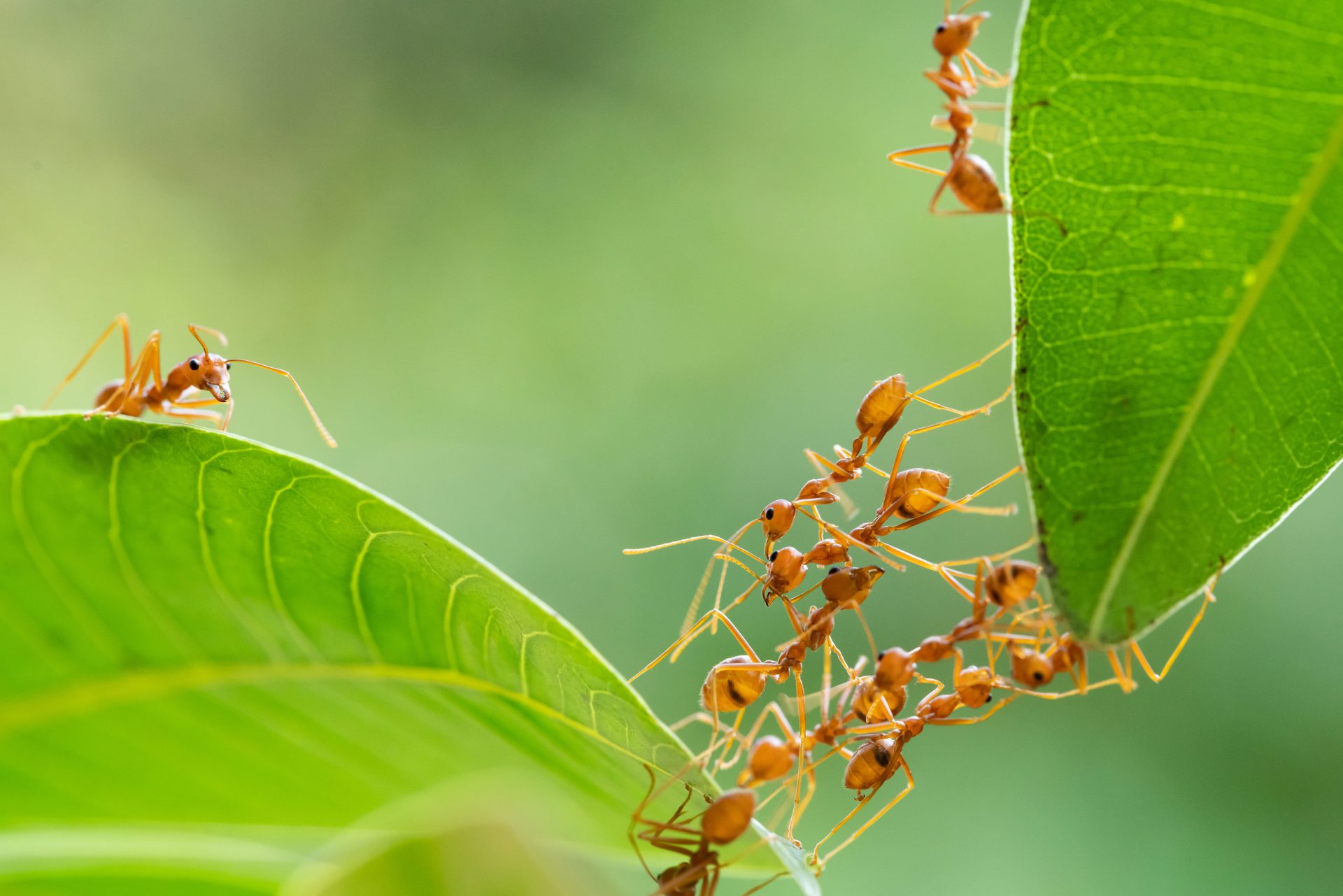 Machen Sie Ihr Unternehmen durch die Aktivierung der leistungsfähigsten Oracle-Management-Tools mit WIIT effizienter und agiler. Wir begleiten den digitalen Wandel Ihres Unternehmens durch die Bereitstellung von Spitzenlösungen und unterstützen deren Einsatz nach Ihren konkreten Bedürfnissen.
