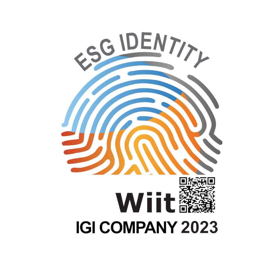 Wiit_IGI-company-2023